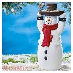 Hóember madáretető