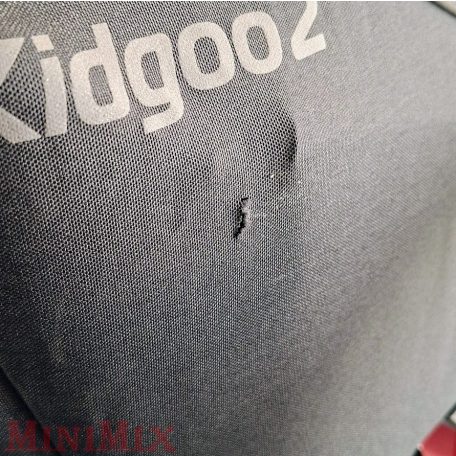Qeridoo Kidgoo2 kerékpár utánfutó Ivy Green
