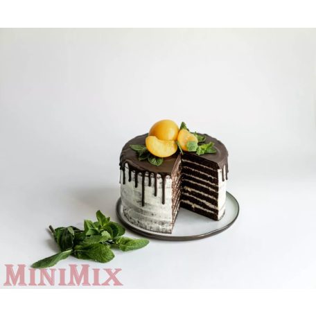  DR OETKER Tortaszeletelő segéd 18-20 cm