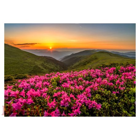 Enjoy 2063 - Pink Dusk - 1000 db-os puzzle