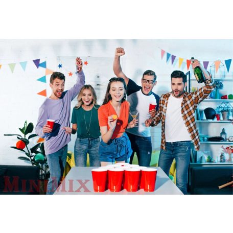 Winkee Beer Pong játék