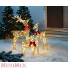 LED-es rénszarvas család