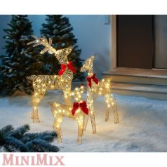 LED-es rénszarvas család
